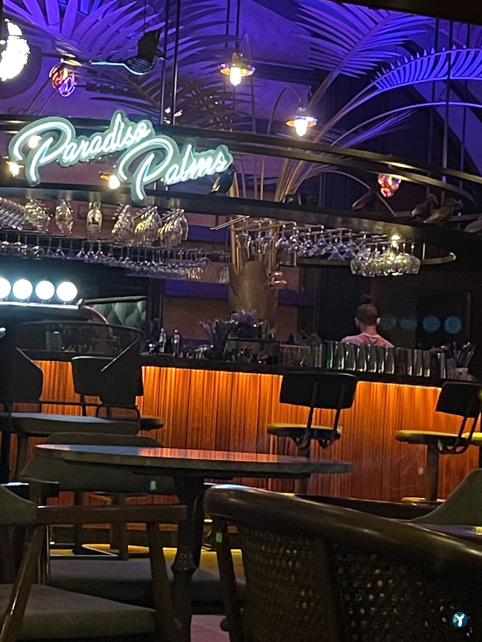Paradiso Palms Gastrobar