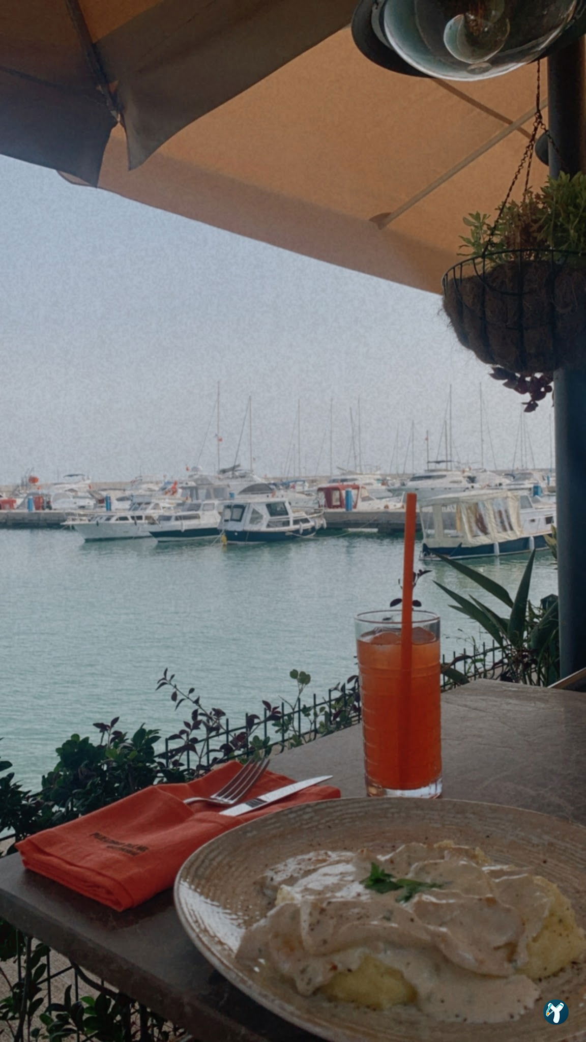 Paradiso Palms Gastrobar