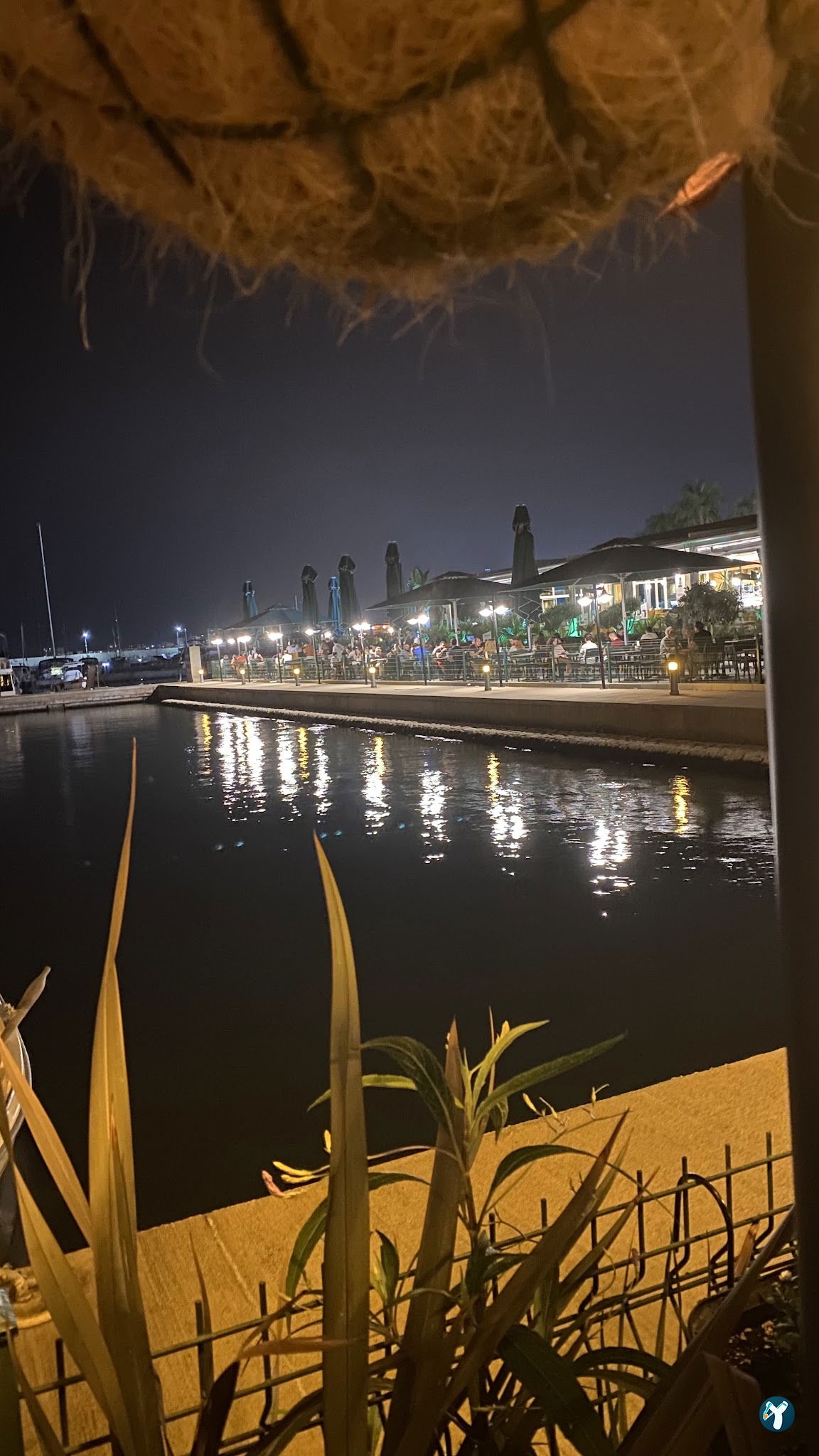 Paradiso Palms Gastrobar