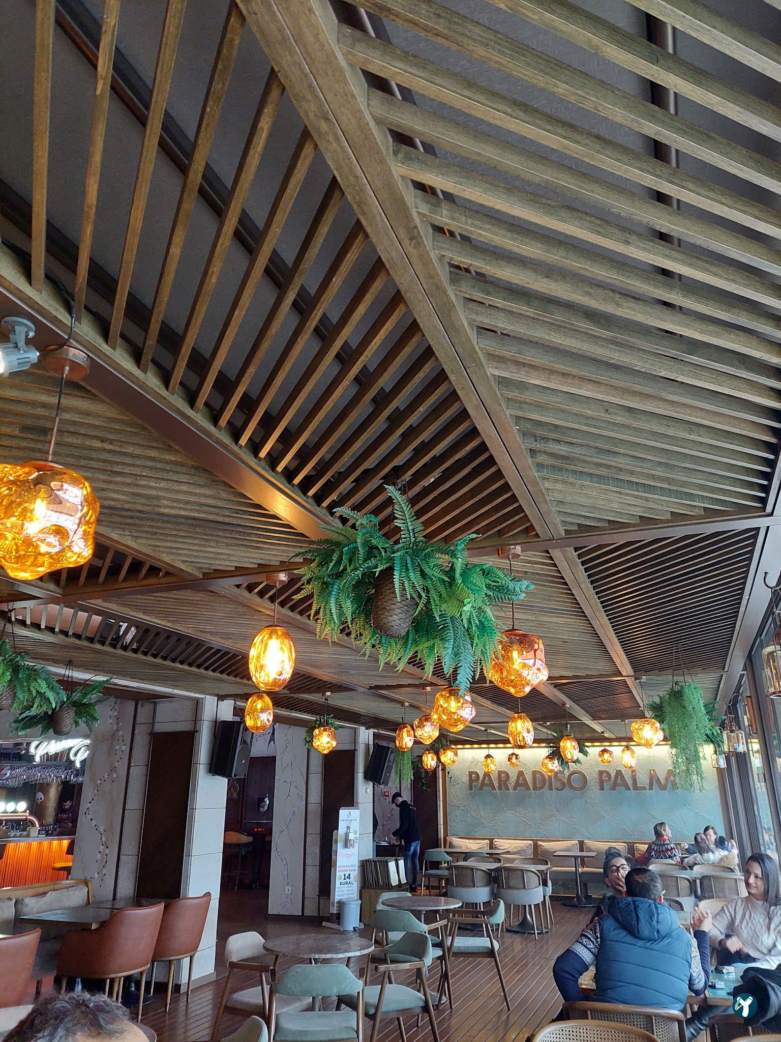 Paradiso Palms Gastrobar