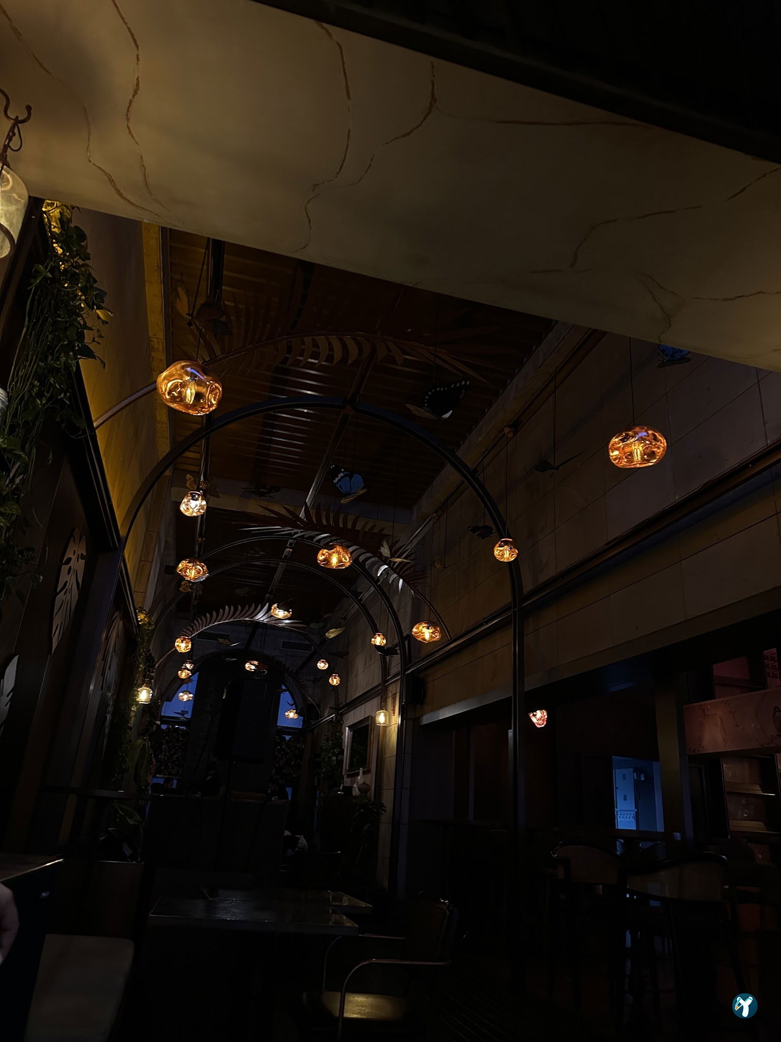 Paradiso Palms Gastrobar