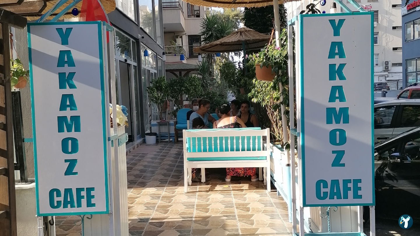 Shark Cafe 2