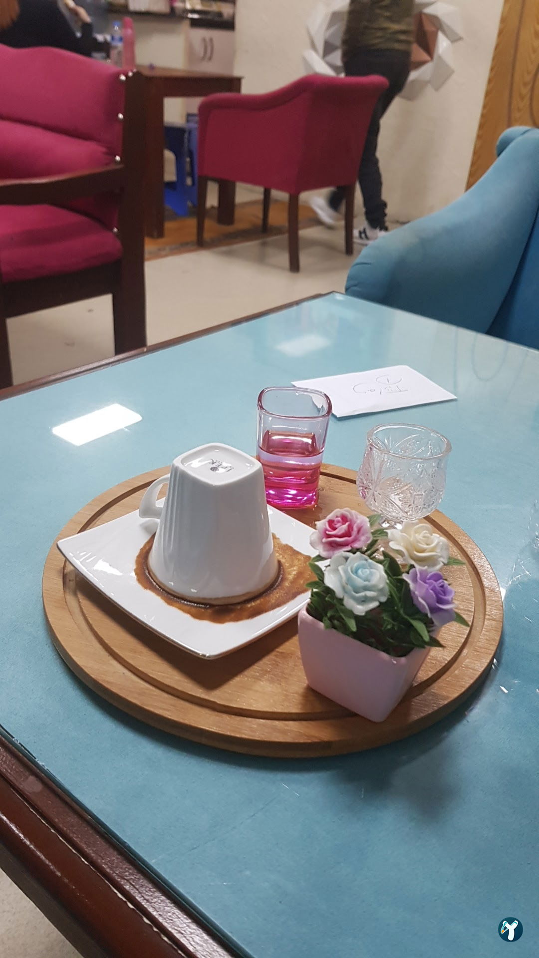 Shark Cafe 2