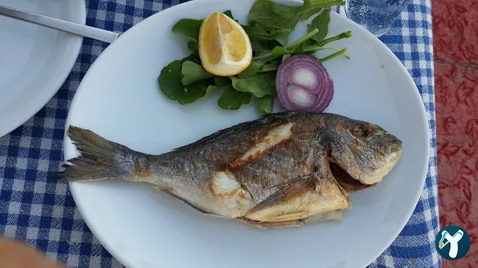 Efes Gemi Restaurant