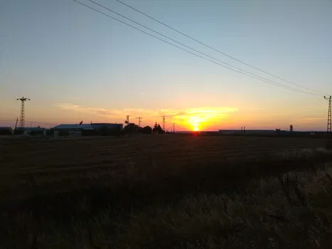 Öz Alipaşa Et Pazarı resimleri