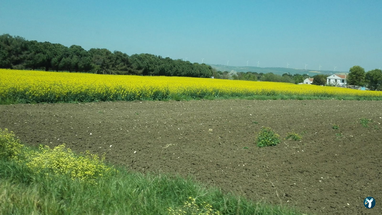Öz Alipaşa Et Pazarı