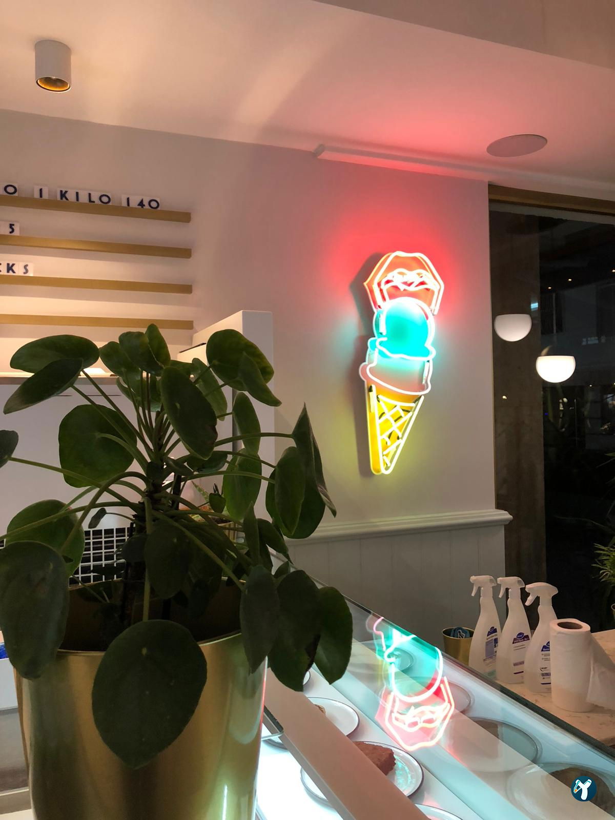 Odelato Gelato