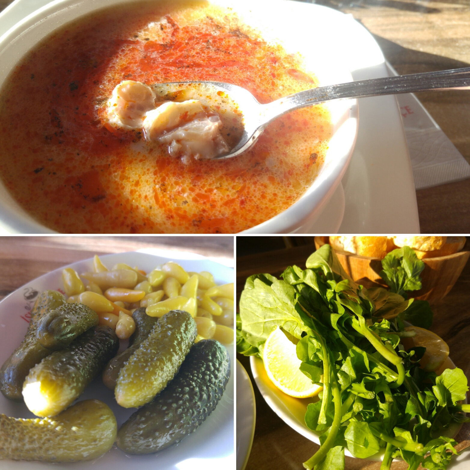 İşkembahçe