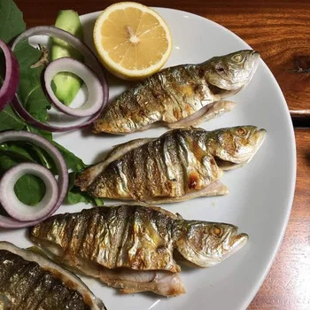 Pelikan Balikcisi resimleri