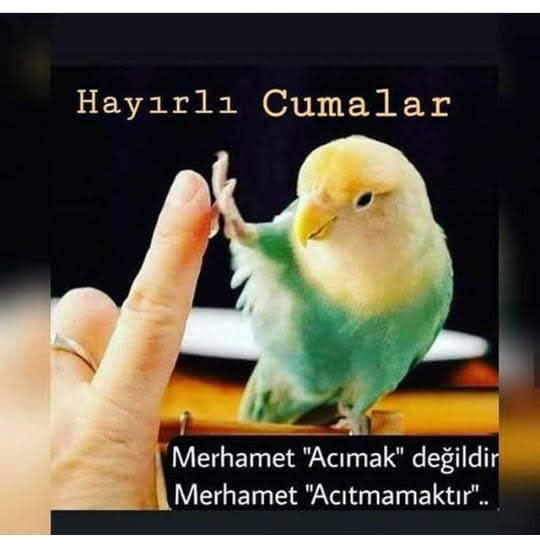 Son Durak Ocakbaşı Kella Paça