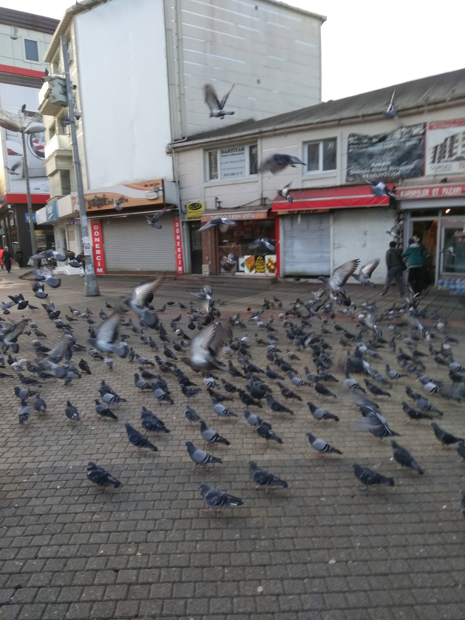 Son Durak Ocakbaşı Kella Paça