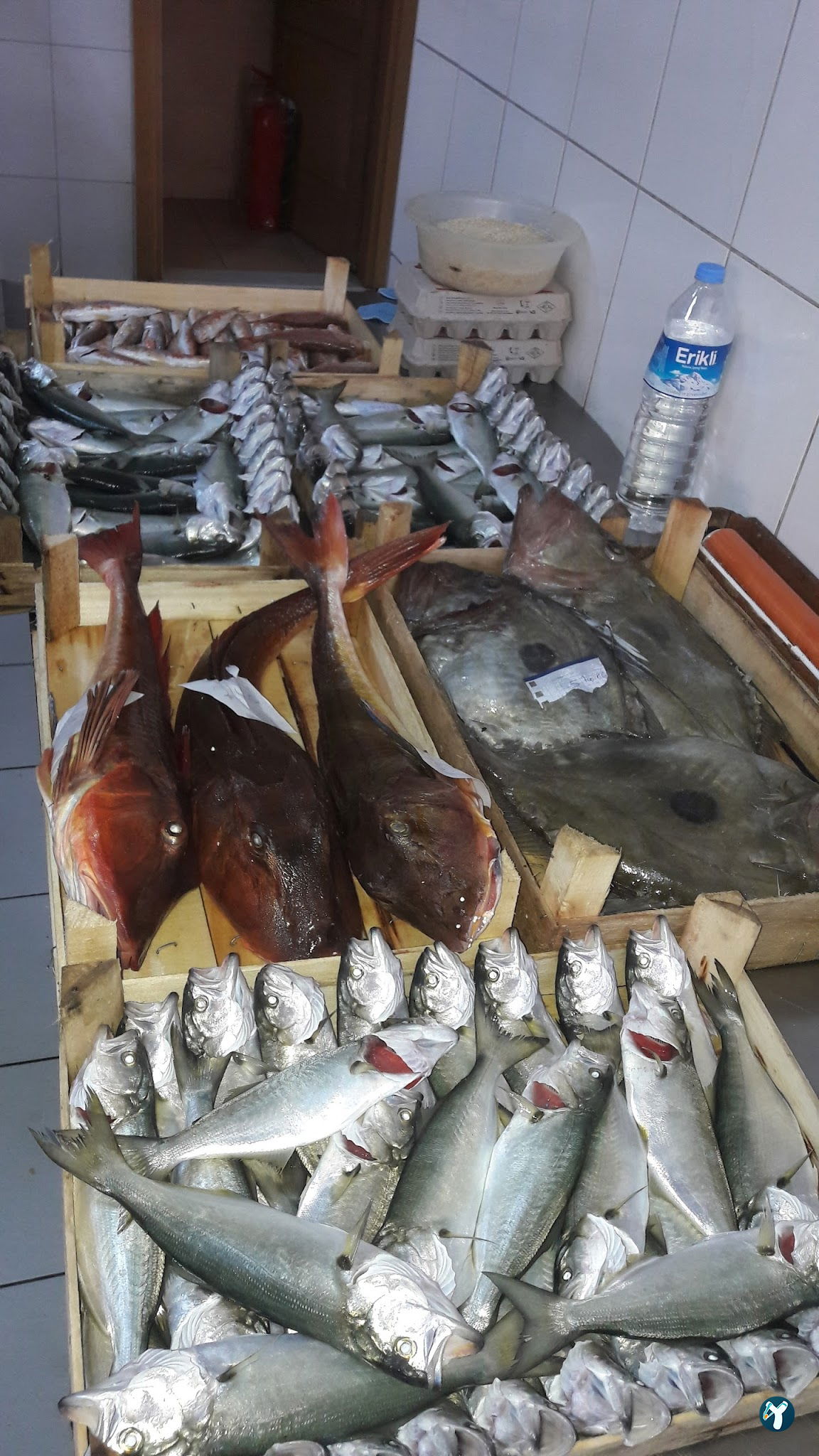 Ada Balık Restoran