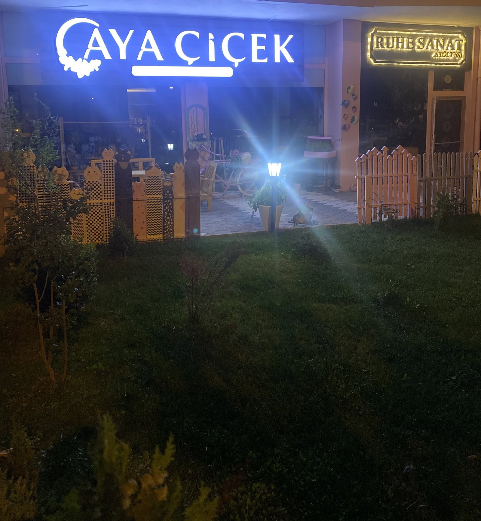 Aya Çiçek Çorum