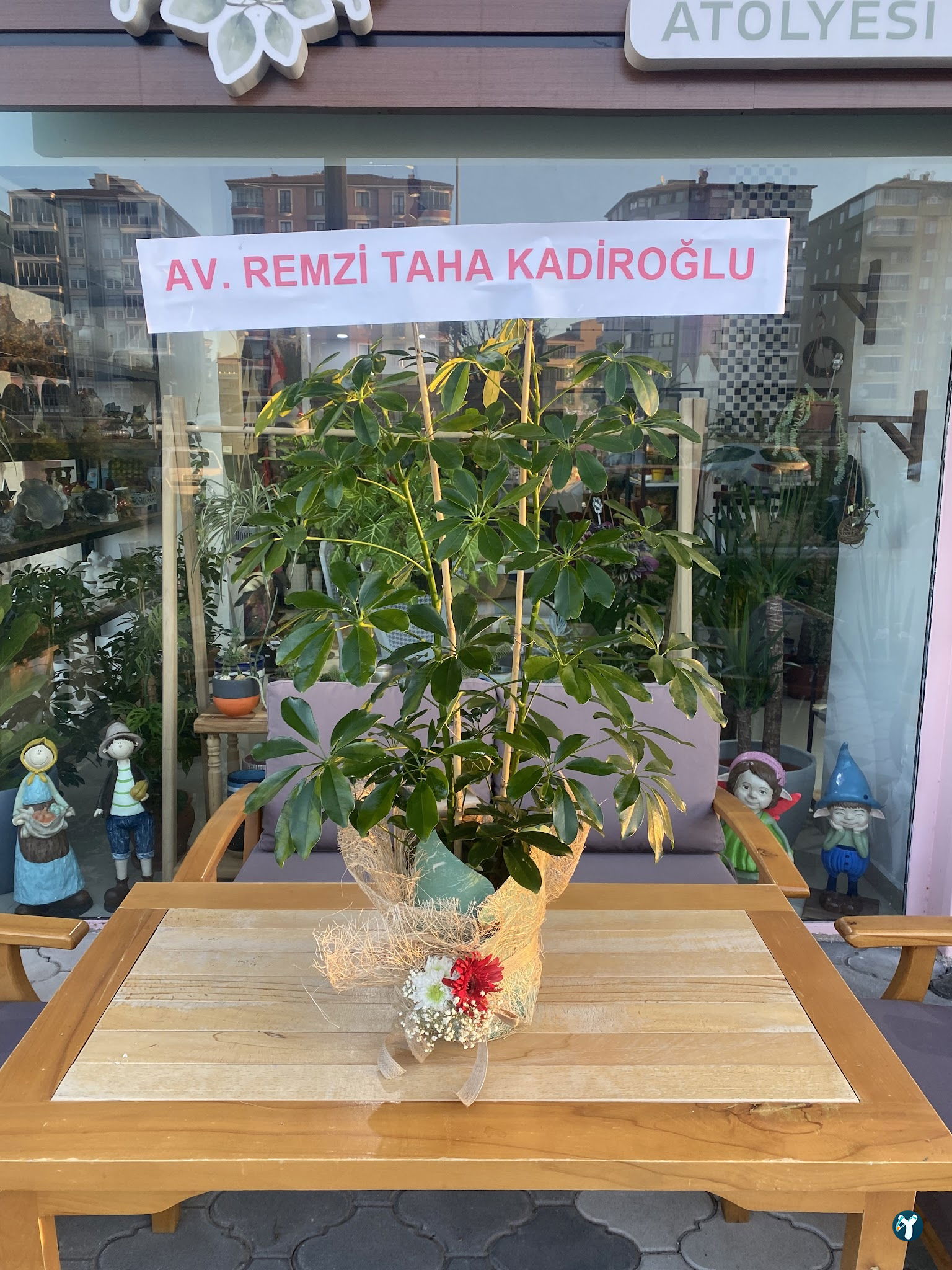 Aya Çiçek Çorum