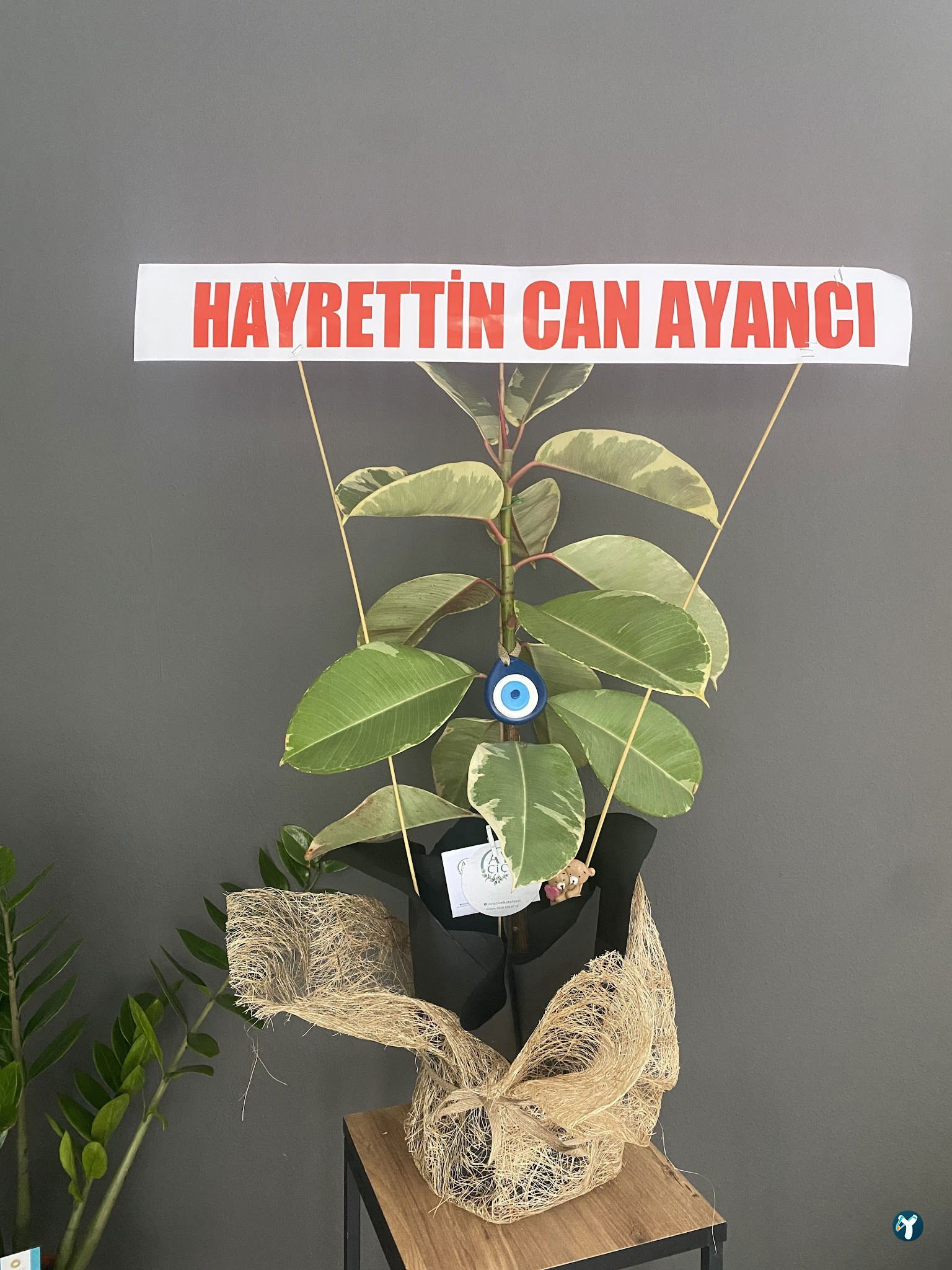 Aya Çiçek Çorum