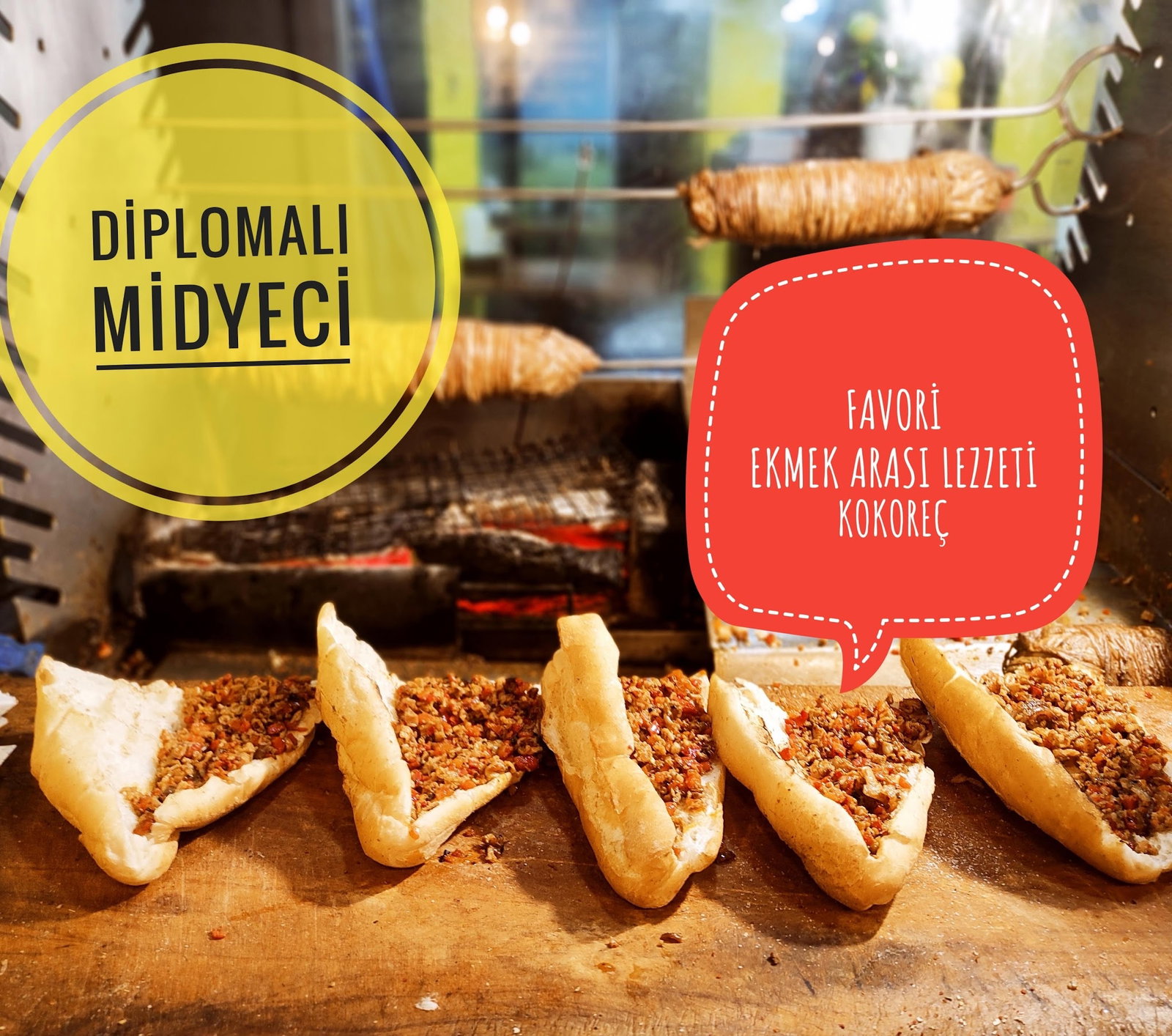 Diplomalı Midyeci