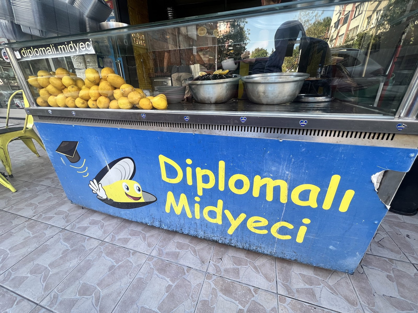 Diplomalı Midyeci
