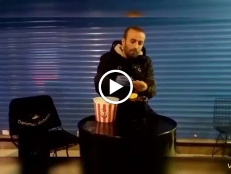 Diplomalı Midyeci resimleri