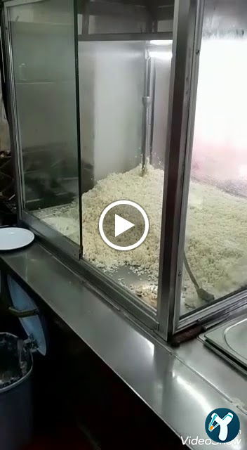 Pilavcı Kardeşler