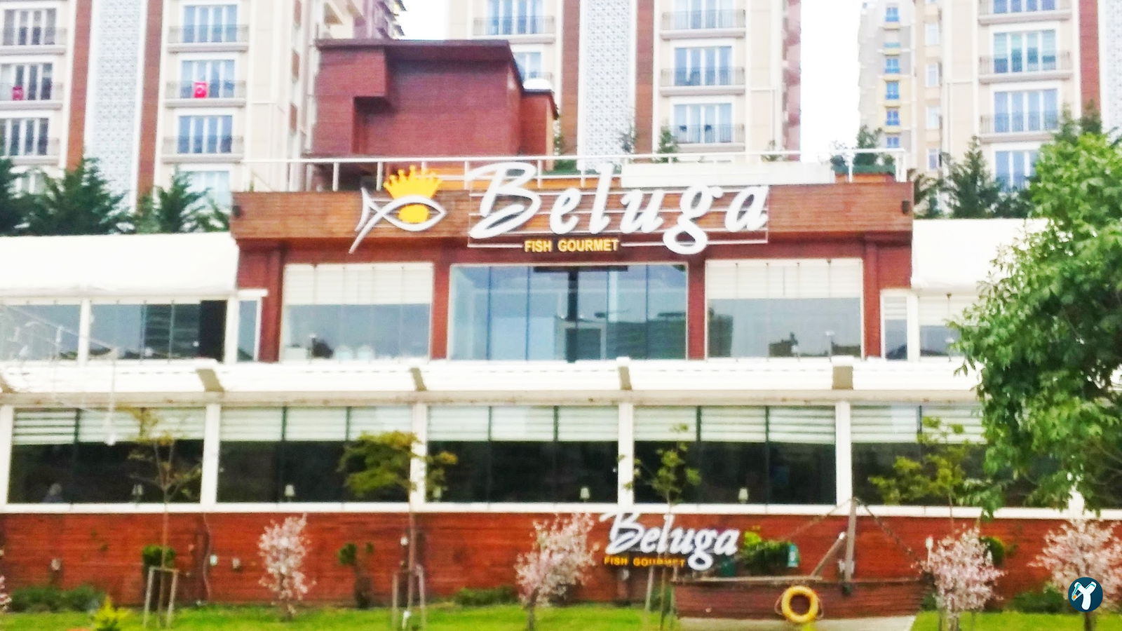 Beluga Fish Gourmet