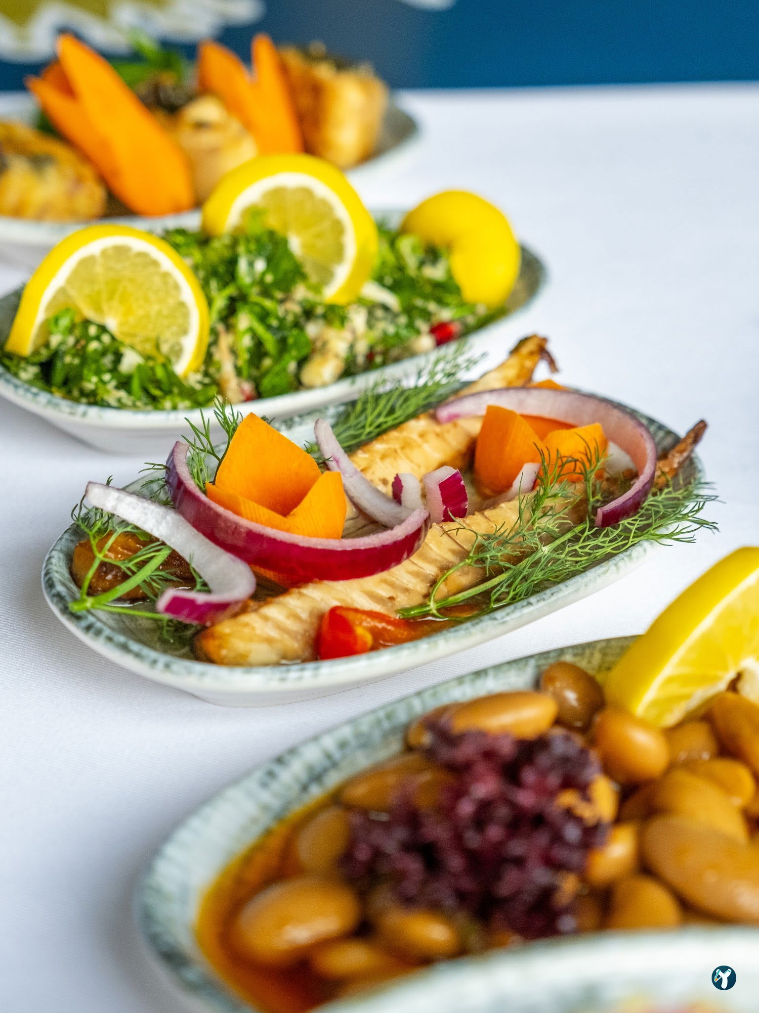 Beluga Fish Gourmet