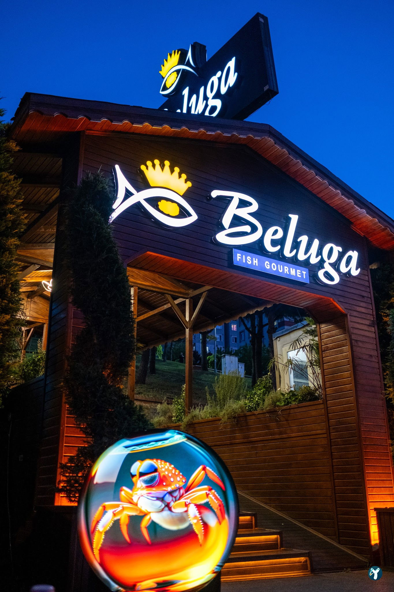 Beluga Fish Gourmet
