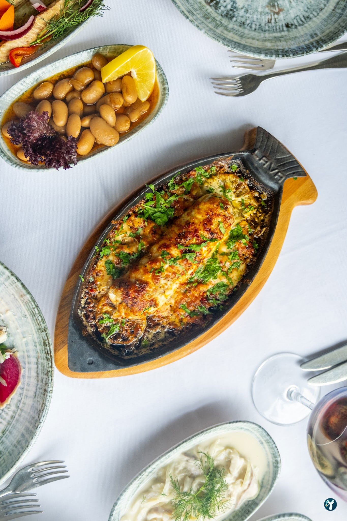 Beluga Fish Gourmet