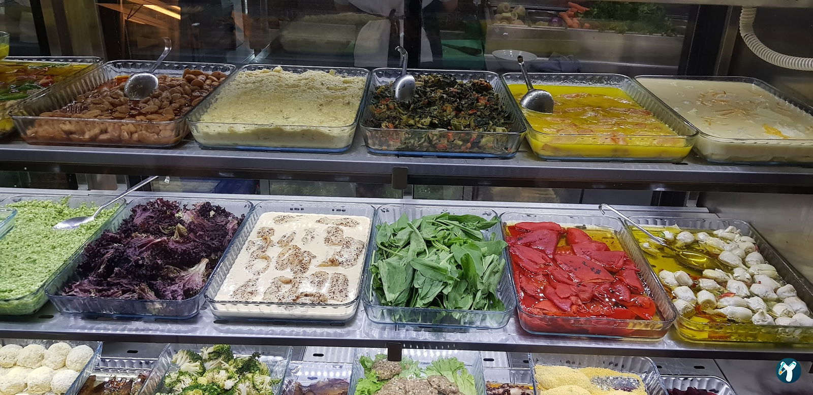 Beluga Fish Gourmet