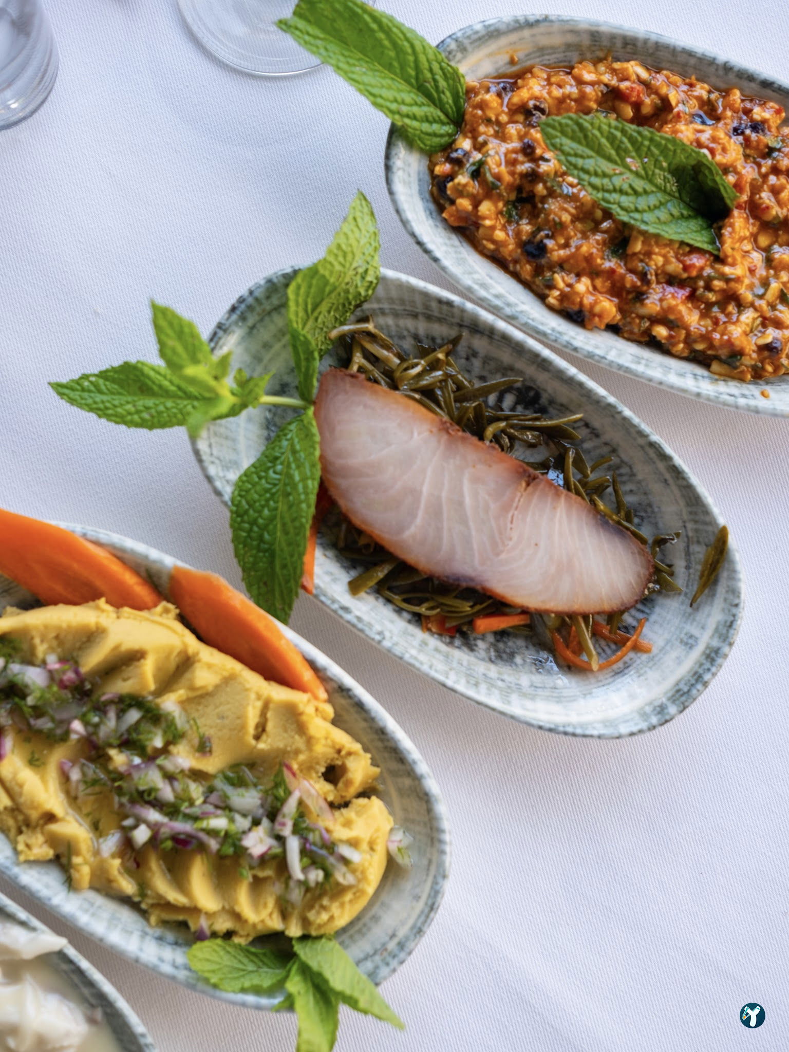 Beluga Fish Gourmet