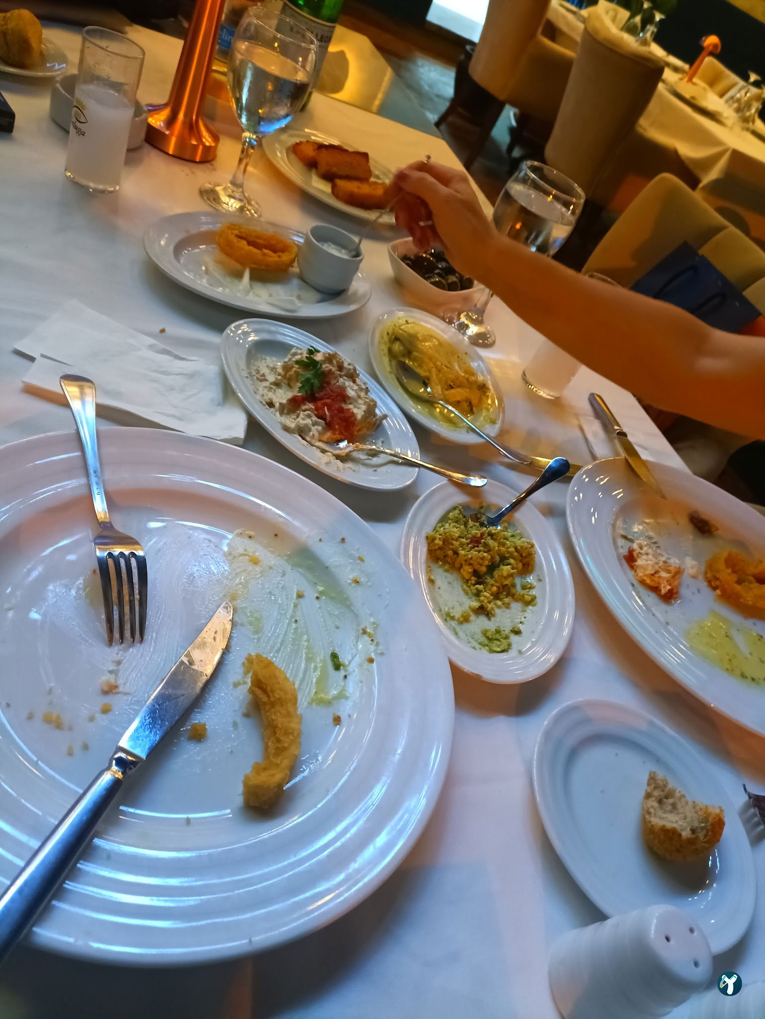 Beluga Fish Gourmet