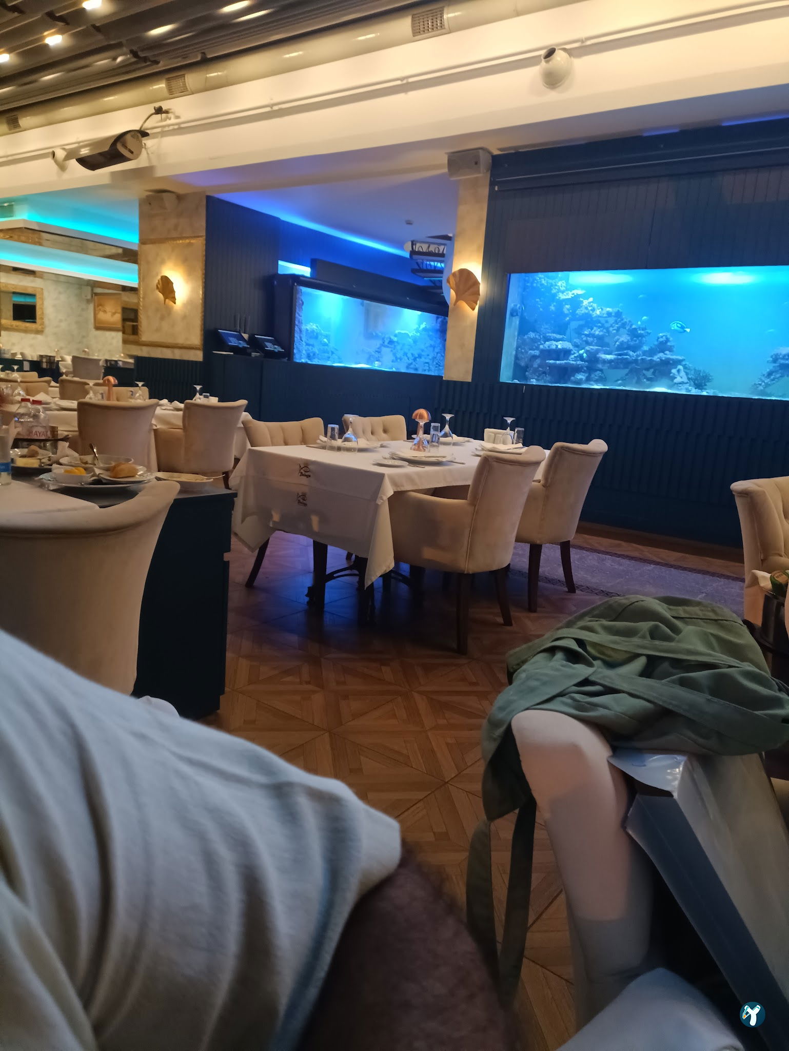 Beluga Fish Gourmet