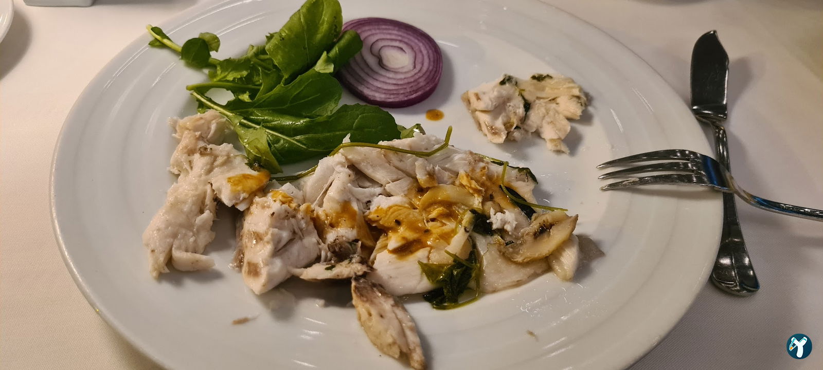 Beluga Fish Gourmet