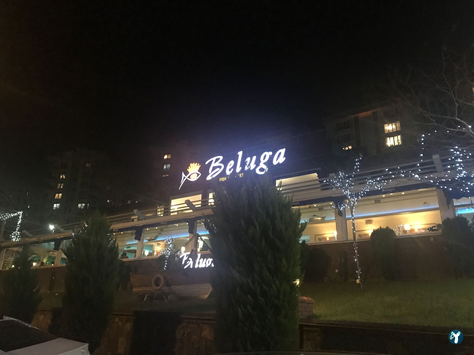 Beluga Fish Gourmet