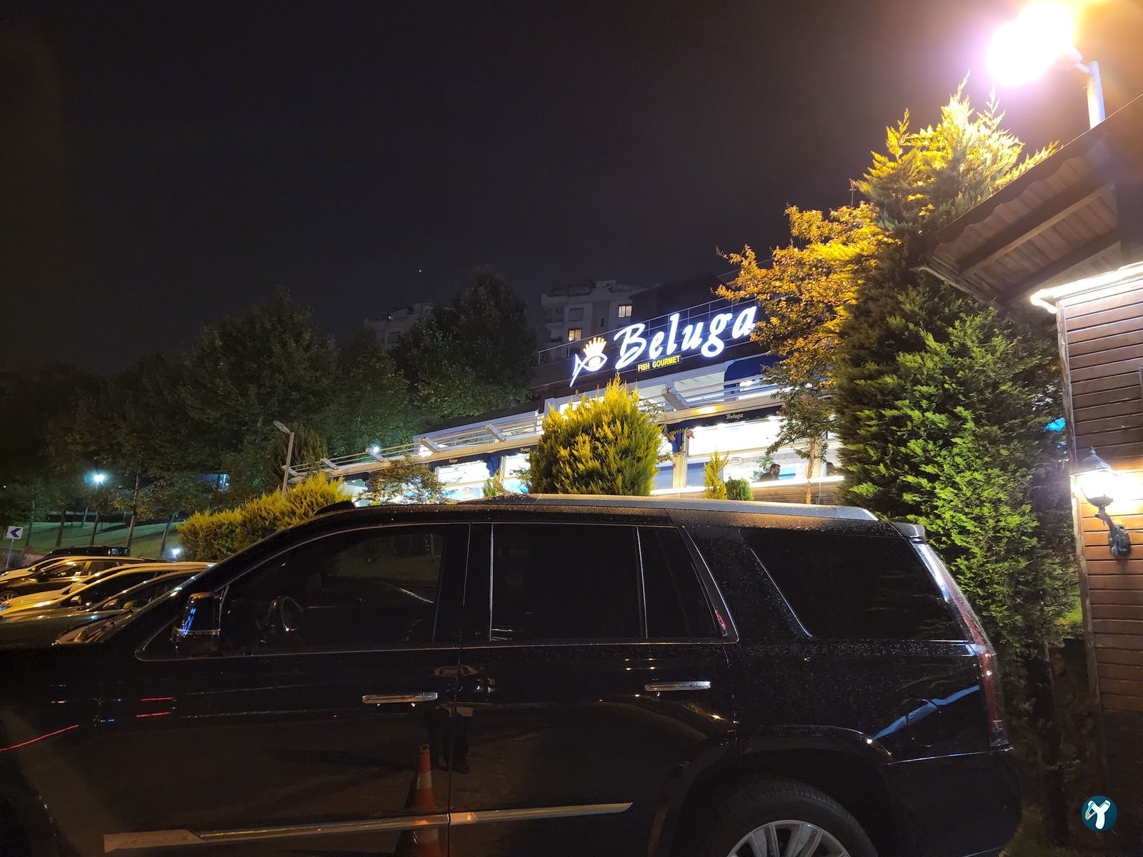Beluga Fish Gourmet