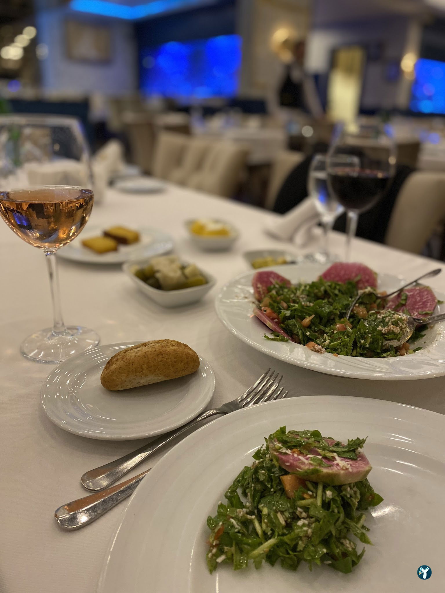 Beluga Fish Gourmet