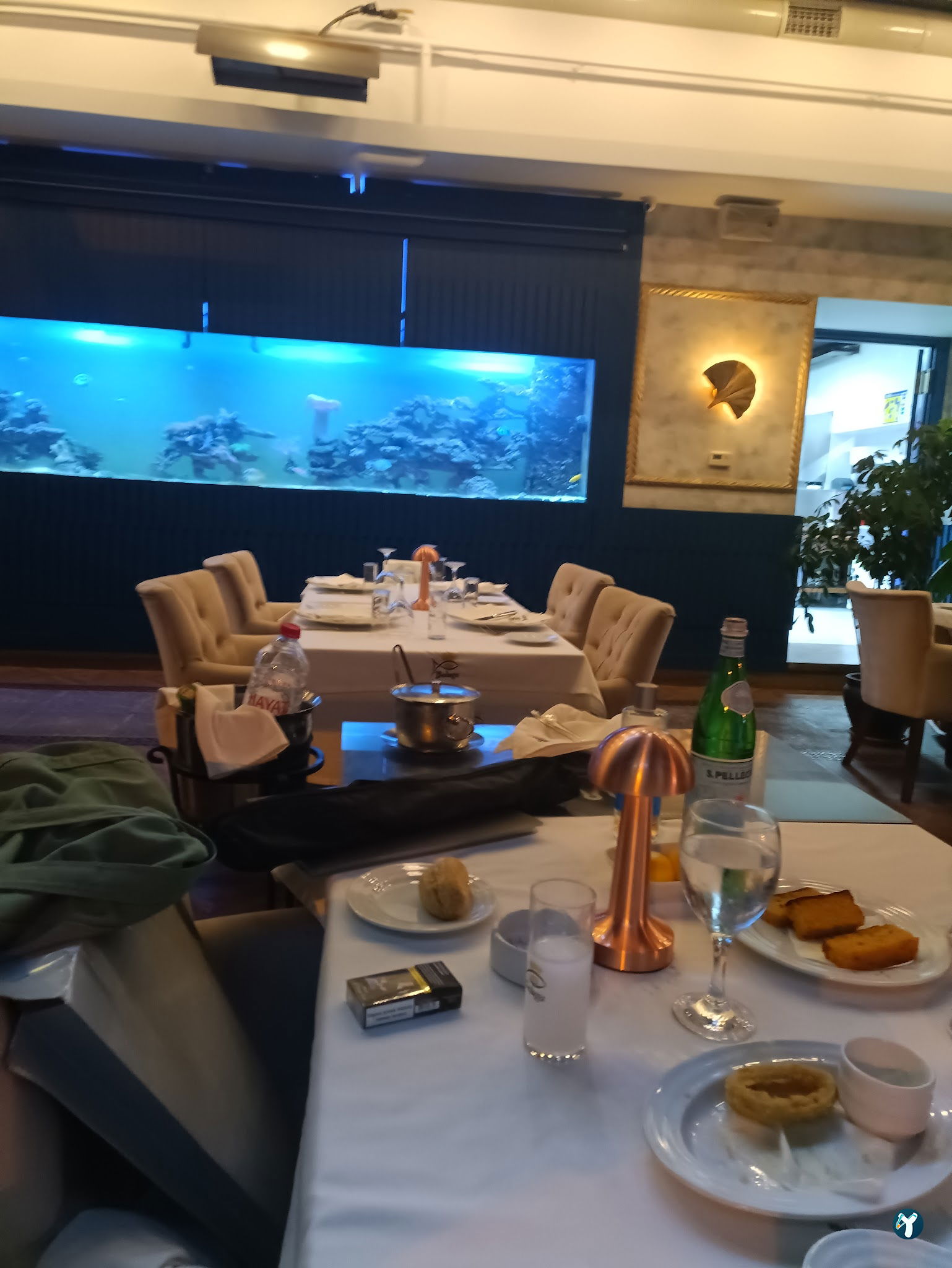 Beluga Fish Gourmet