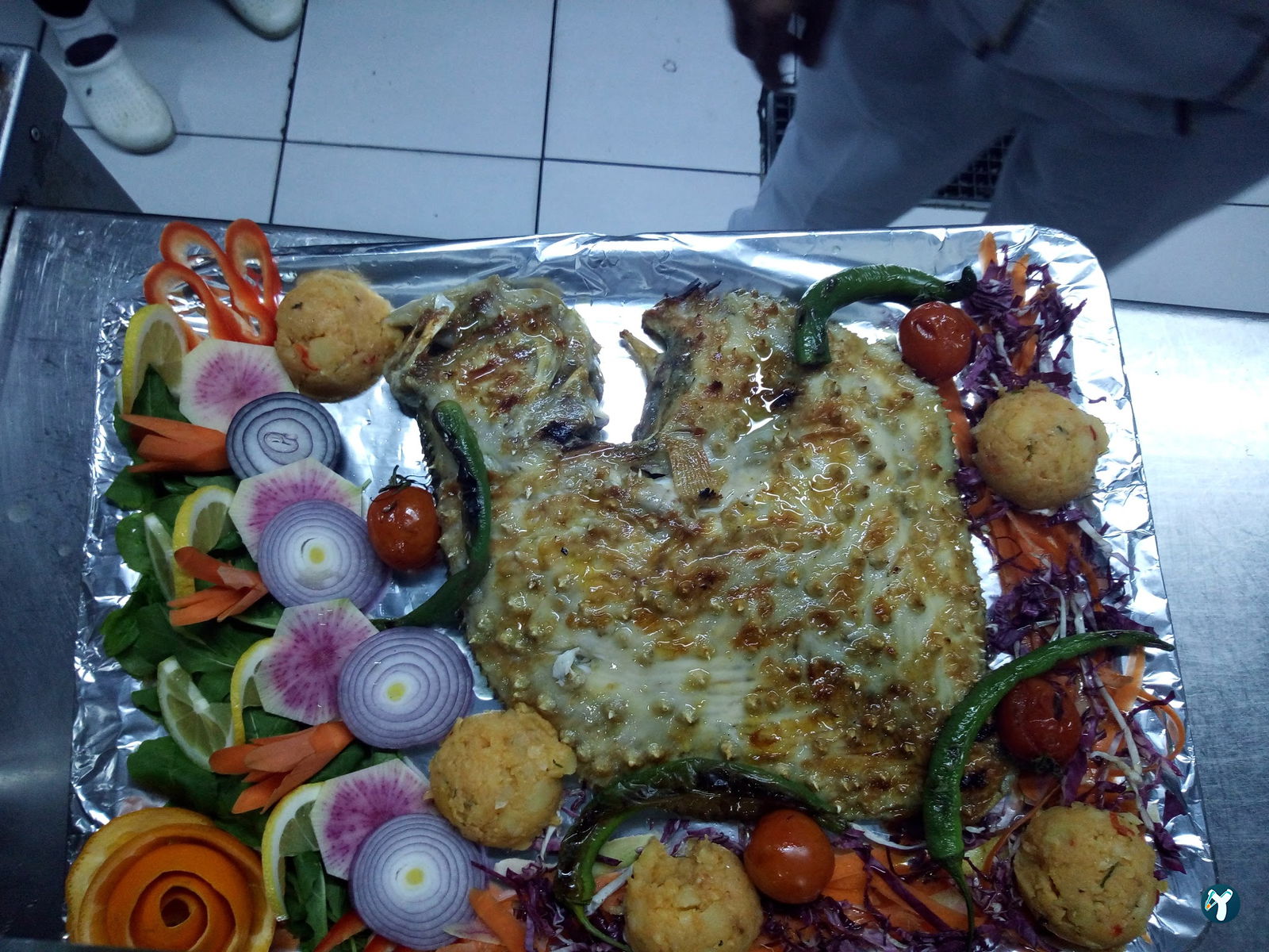 Beluga Fish Gourmet