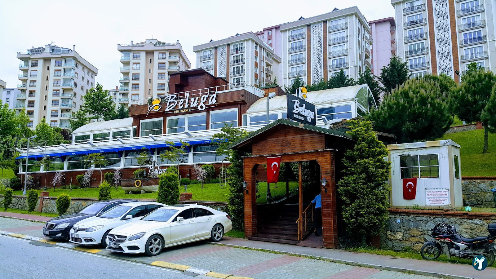 Beluga Fish Gourmet