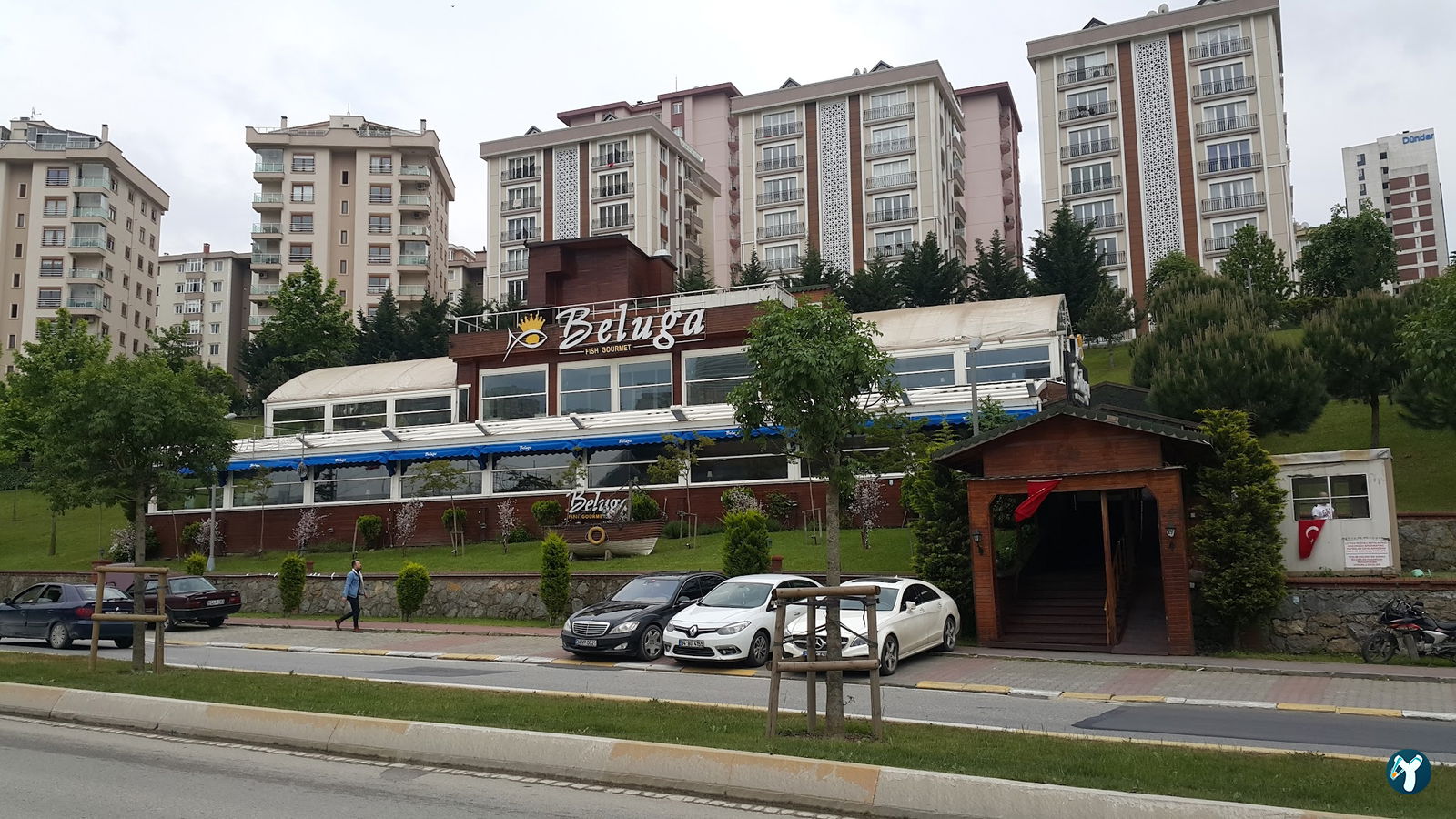 Beluga Fish Gourmet