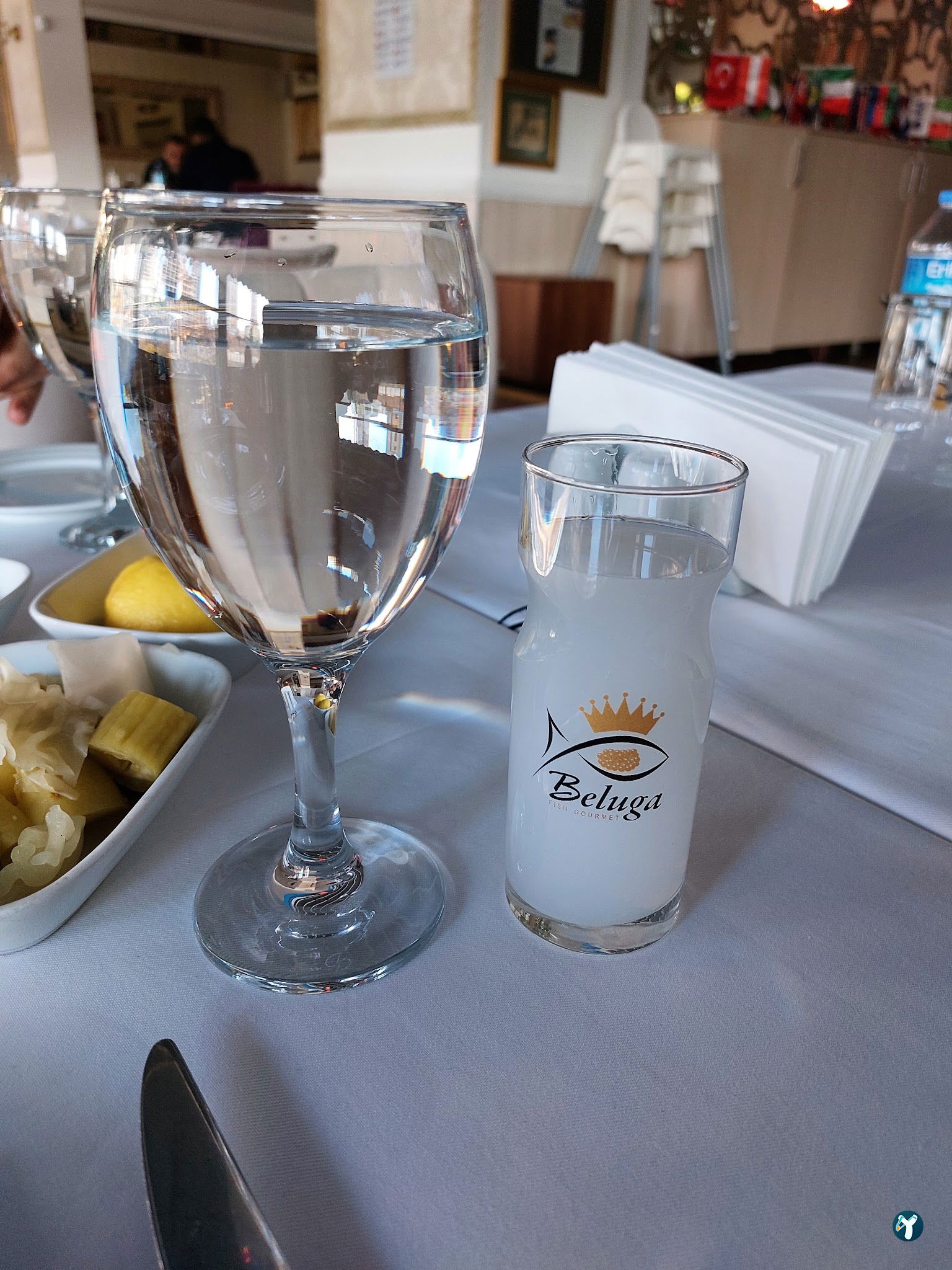 Beluga Fish Gourmet