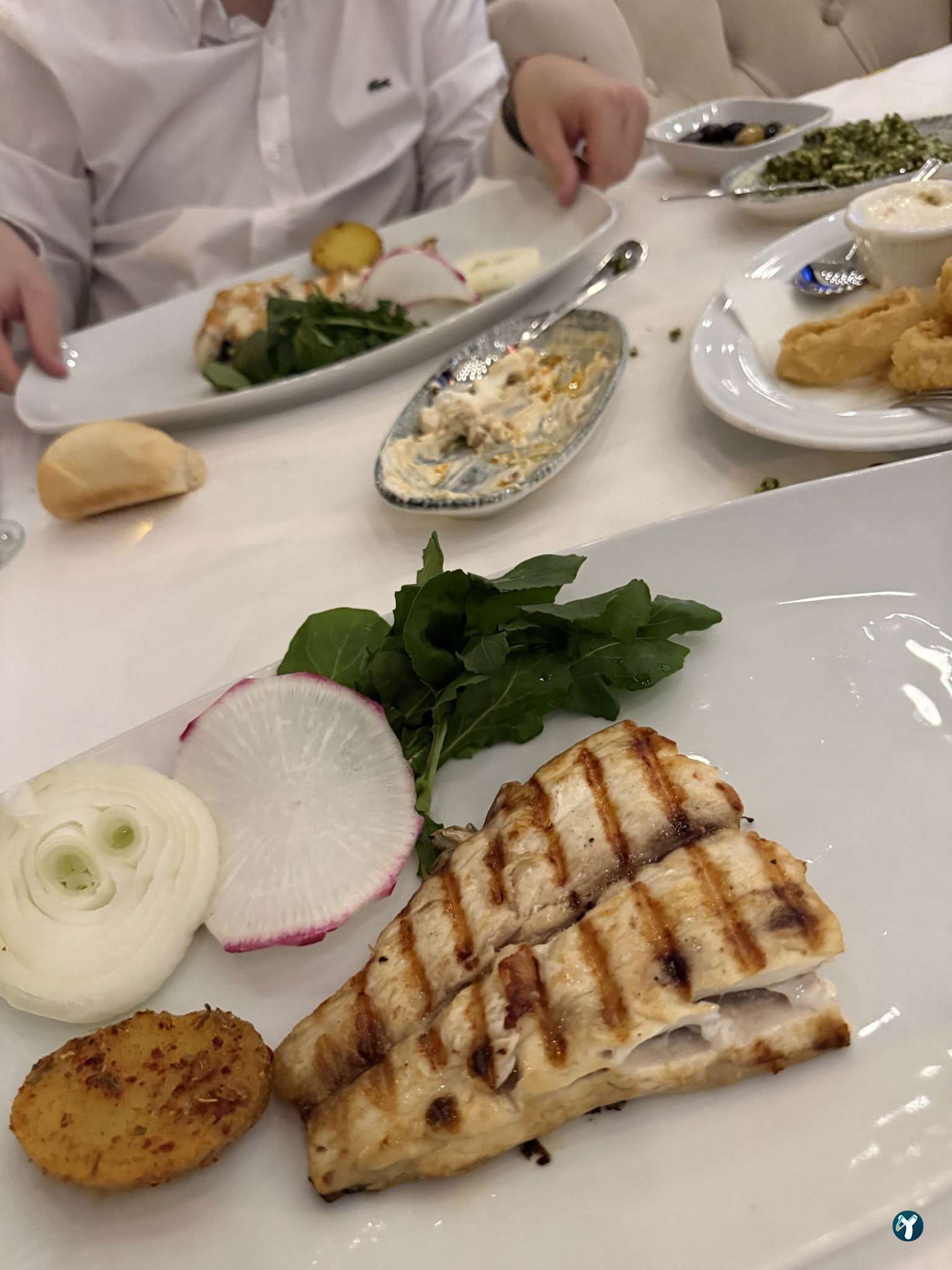Beluga Fish Gourmet