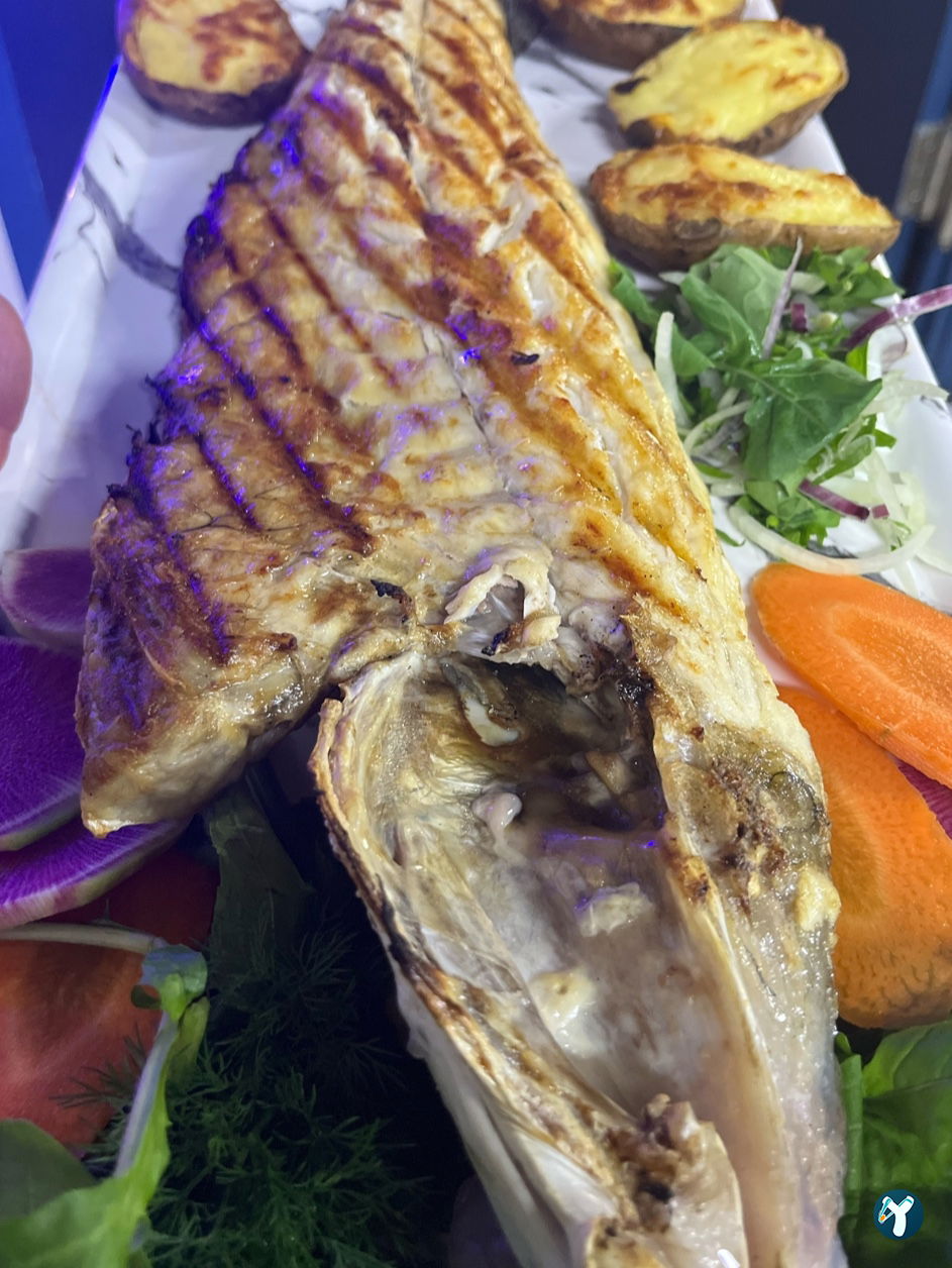 Beluga Fish Gourmet