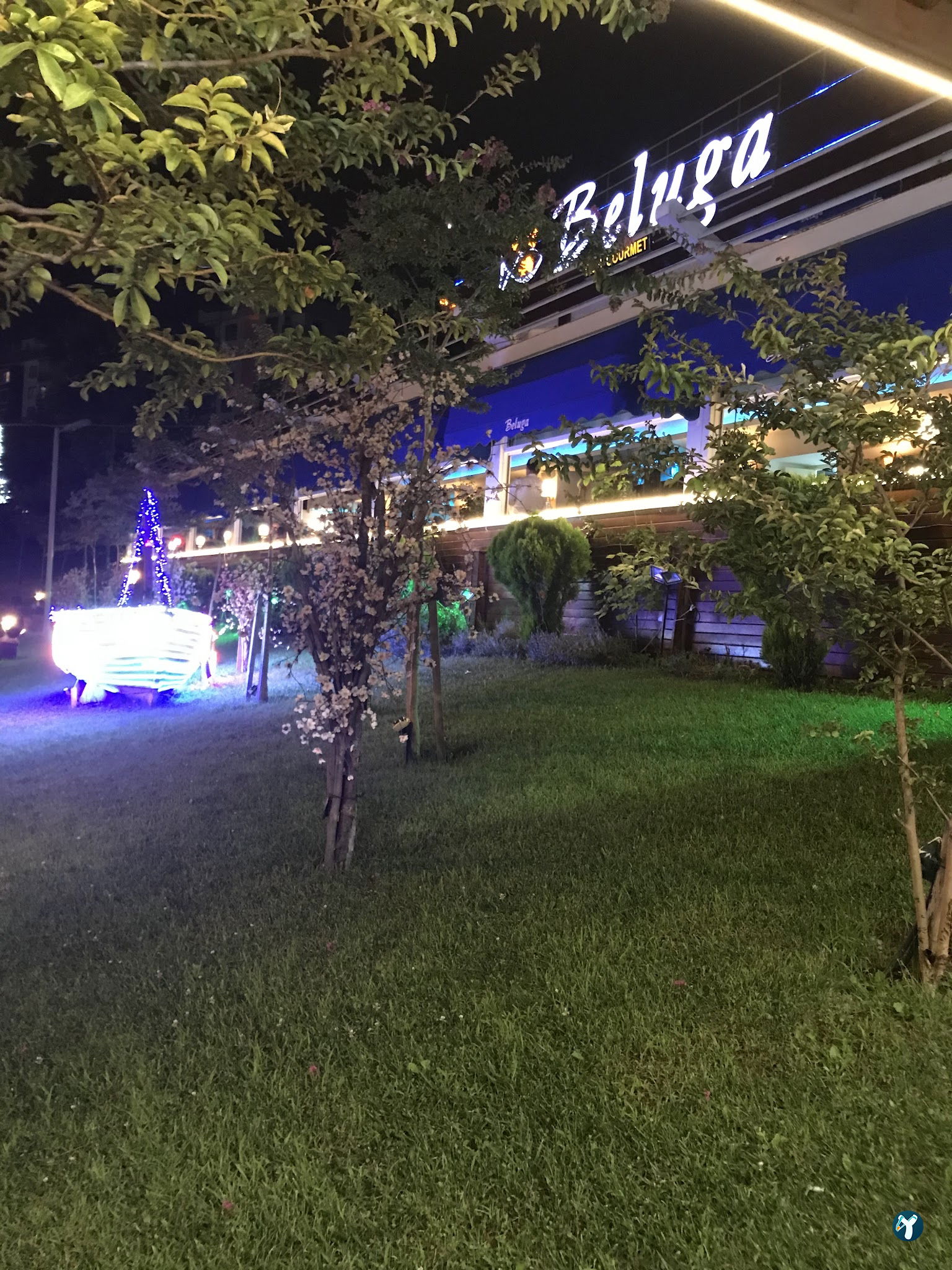 Beluga Fish Gourmet