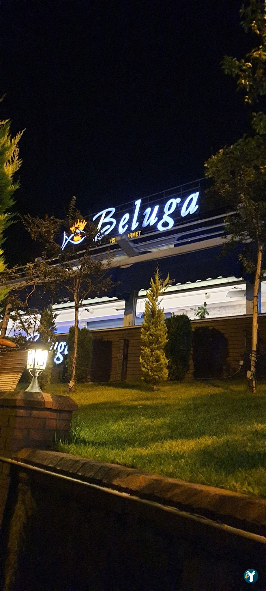 Beluga Fish Gourmet