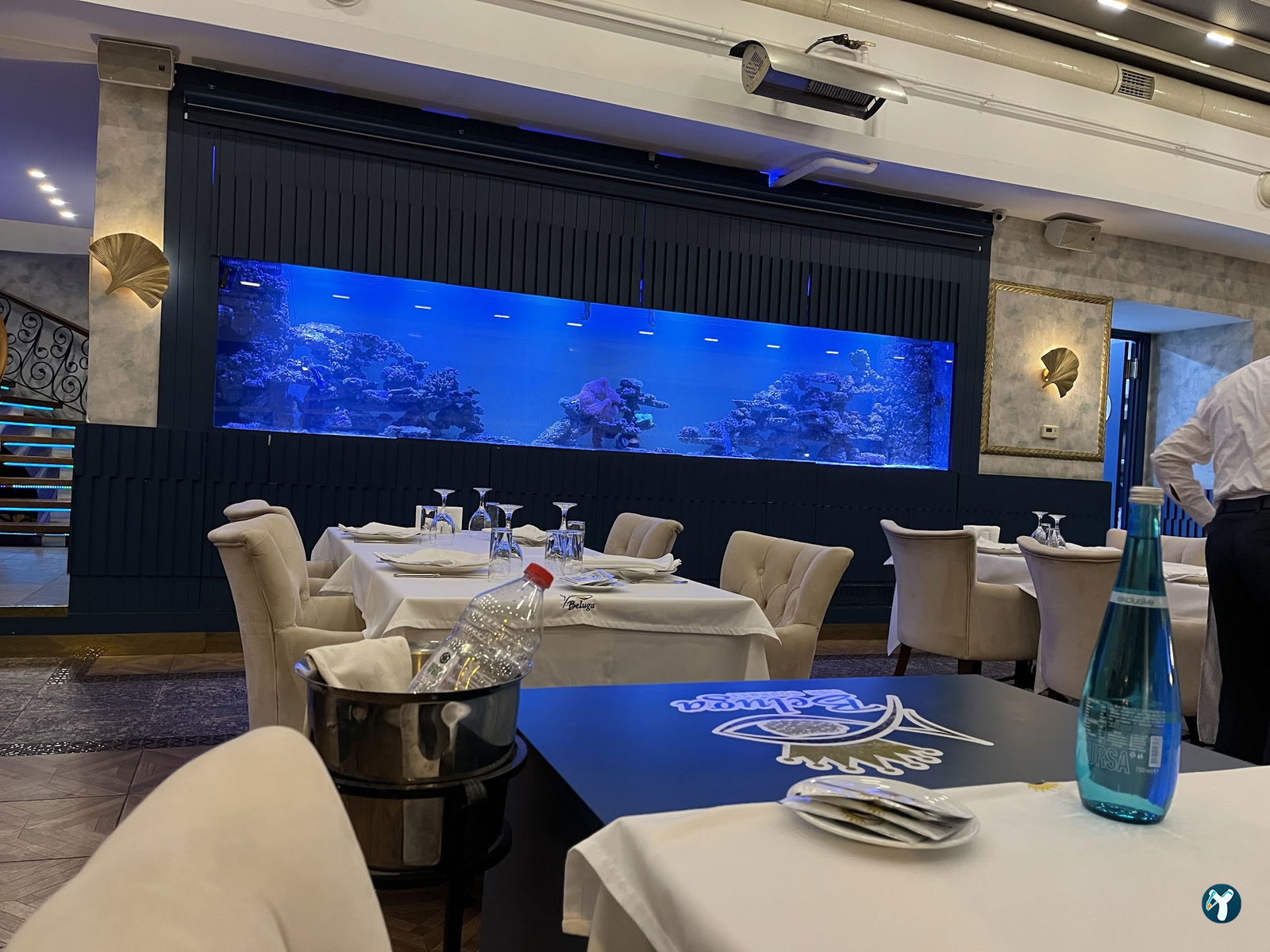 Beluga Fish Gourmet