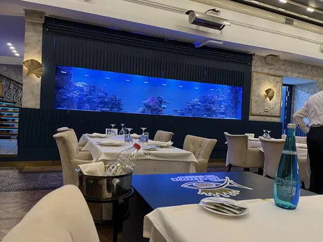 Beluga Fish Gourmet resimleri Beluga Fish Gourmet resimleri