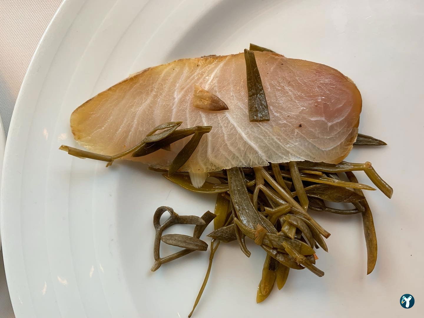 Beluga Fish Gourmet