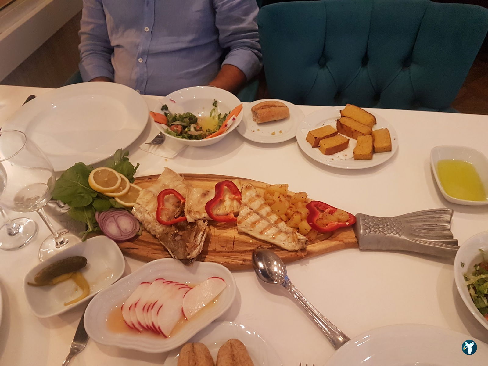 Beluga Fish Gourmet