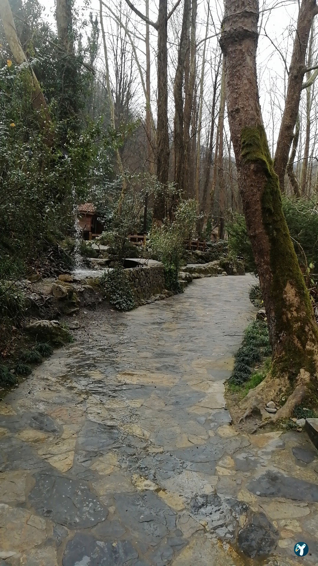 Vadi Restaurant