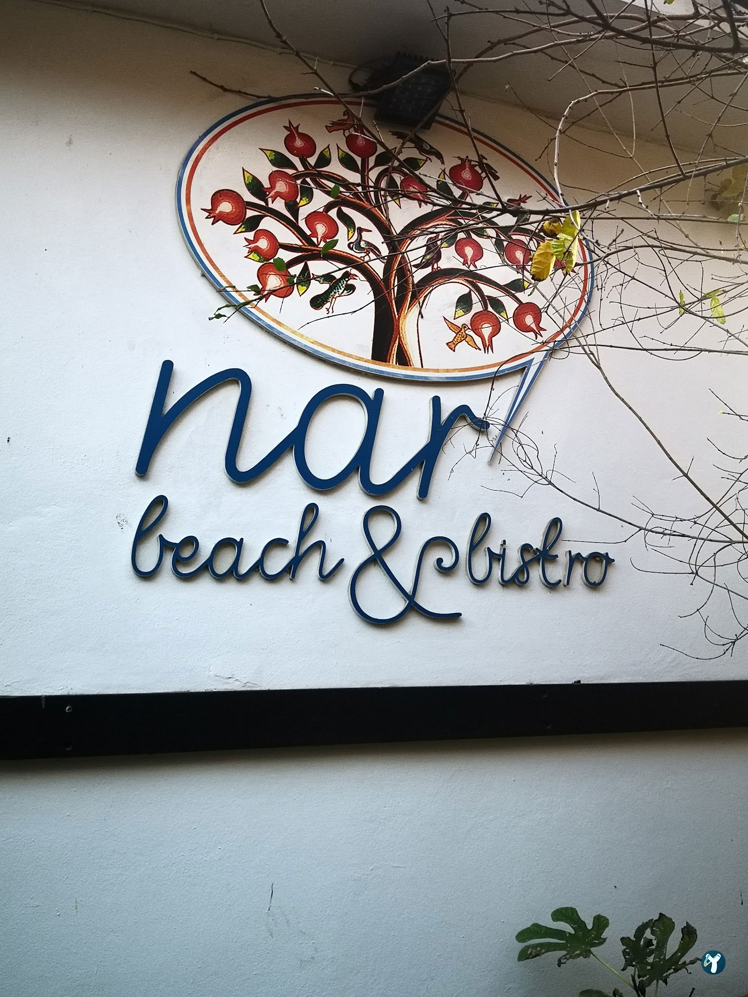 Nar Beach&Bistro
